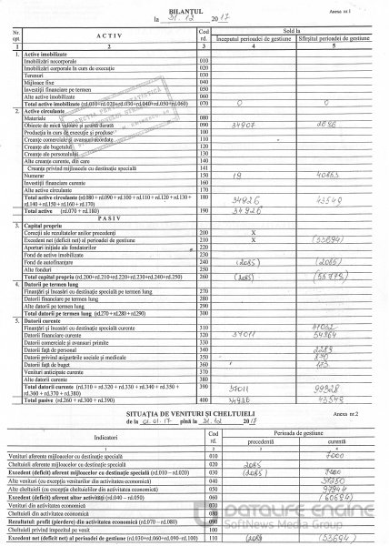 Raport Financiar 2017