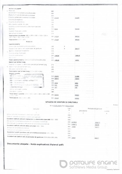 Raportul financiar al anului 2019