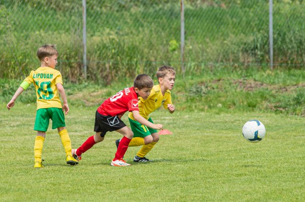 CS Atletic Strășeni U7 pe locul al 2- lea.